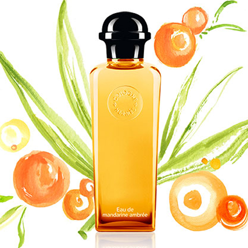 harmes, mandarine ambree, perfume