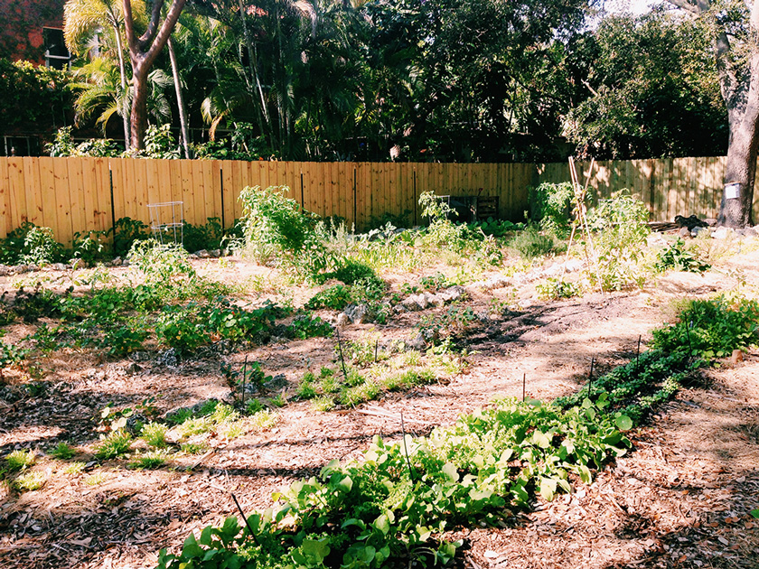 mandolin, garden, design district