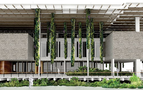 pamm, patrick blanc, rendering