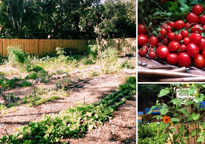 Garden Fresh Food at Mandolin Aegean Bistro