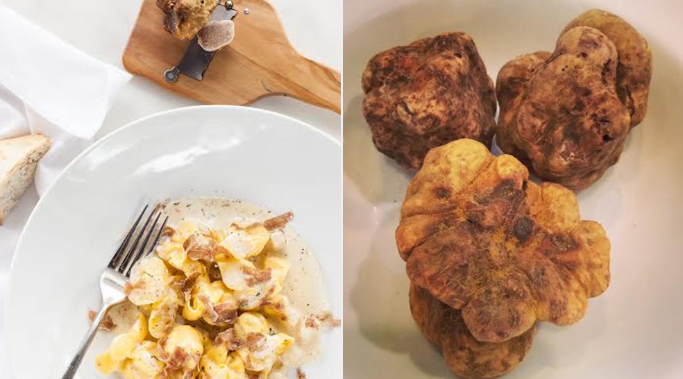 Truffle Season Arrives in the Miami Design District