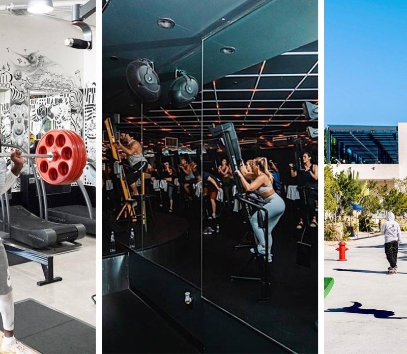 Design a Better You: Daily Wellness Picks at MDD