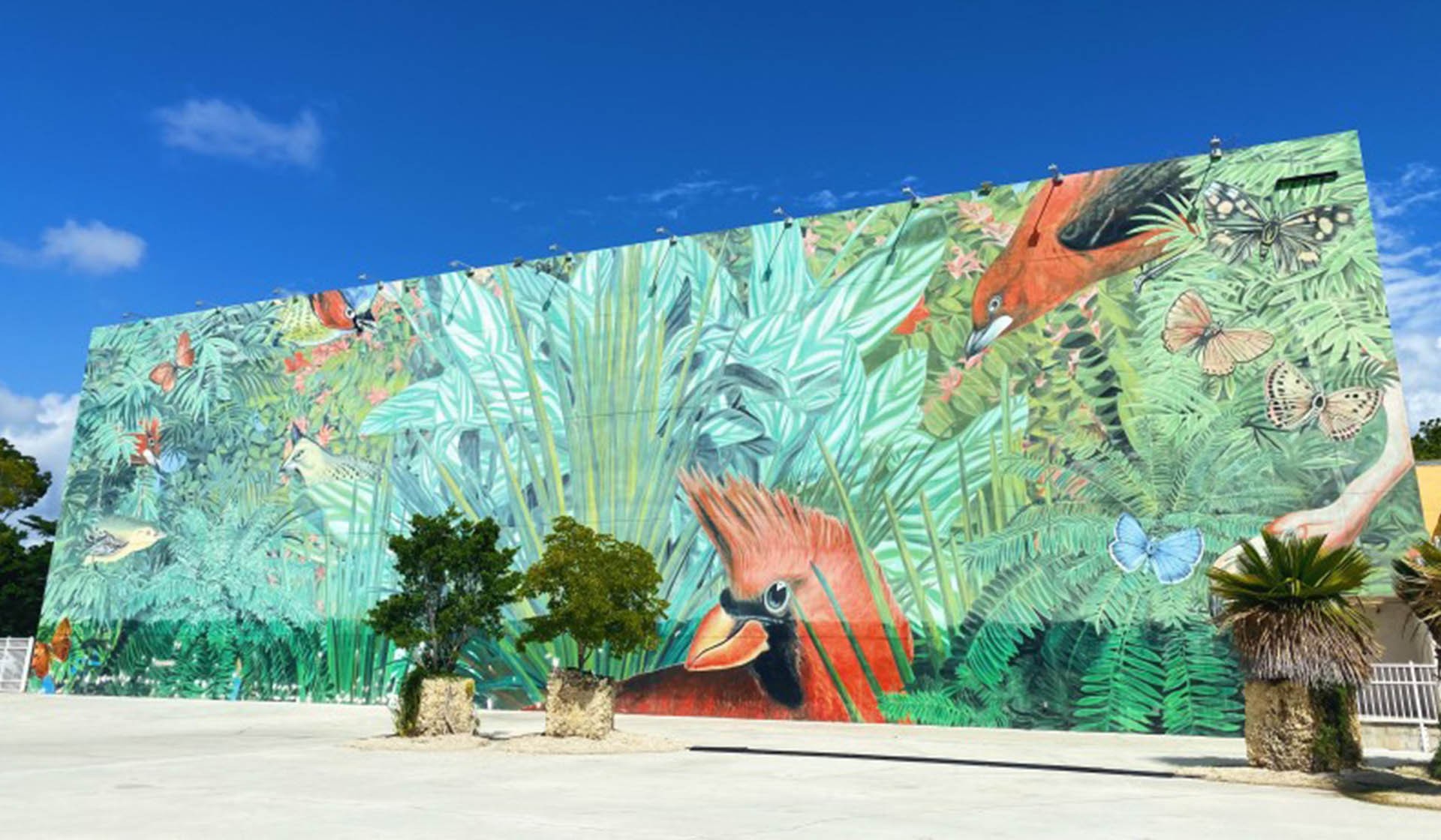 Art Tours in the Miami Design District