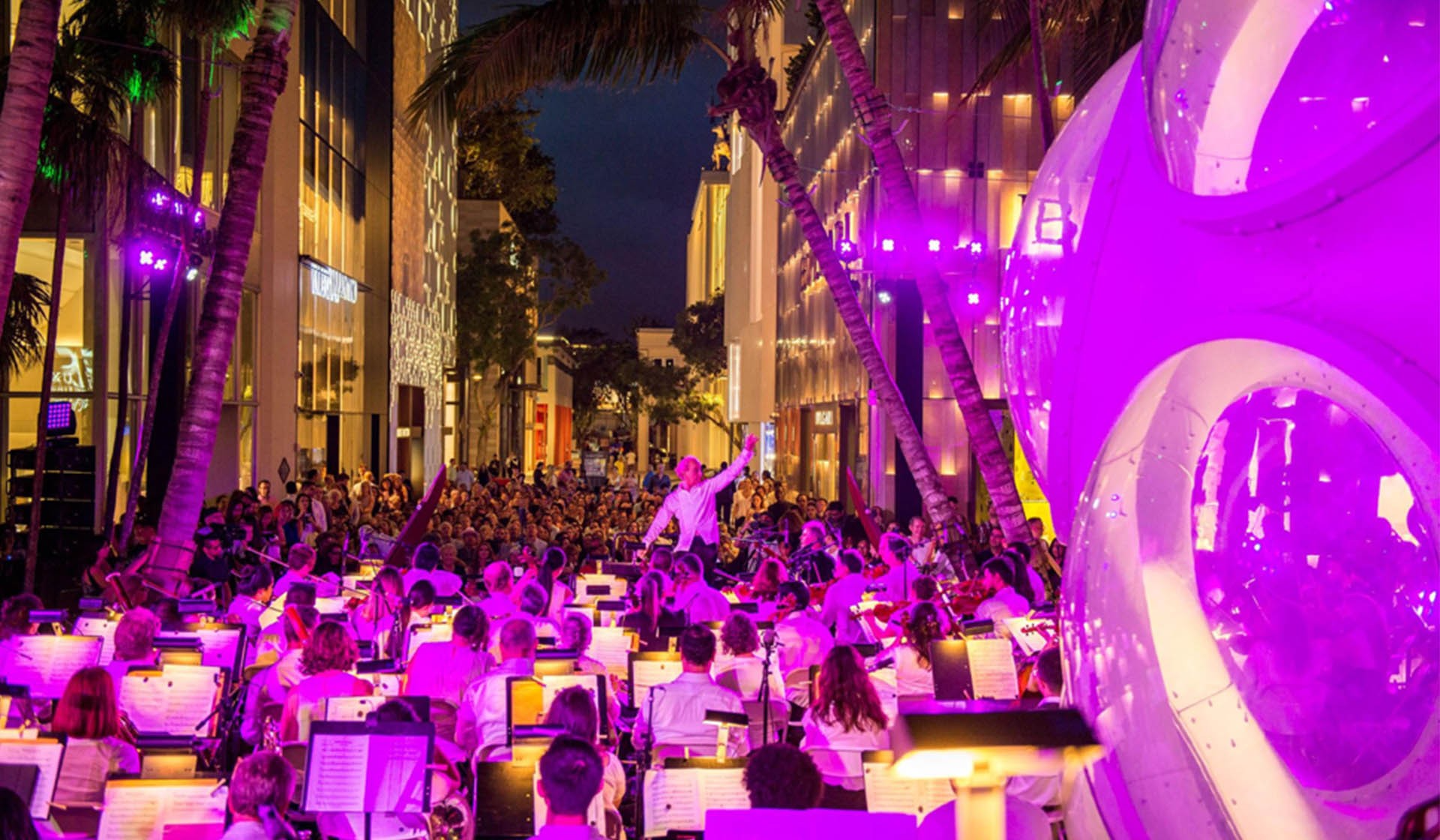Performance Series: The Miami Symphony Orchestra