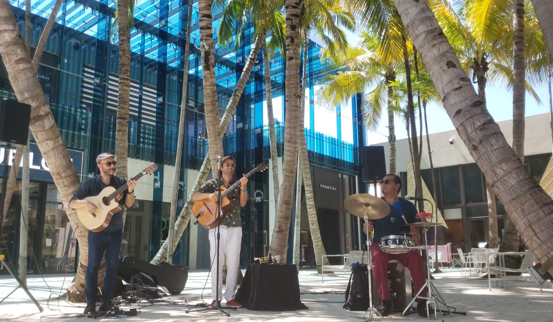 MDD Musical Pop-Ups
