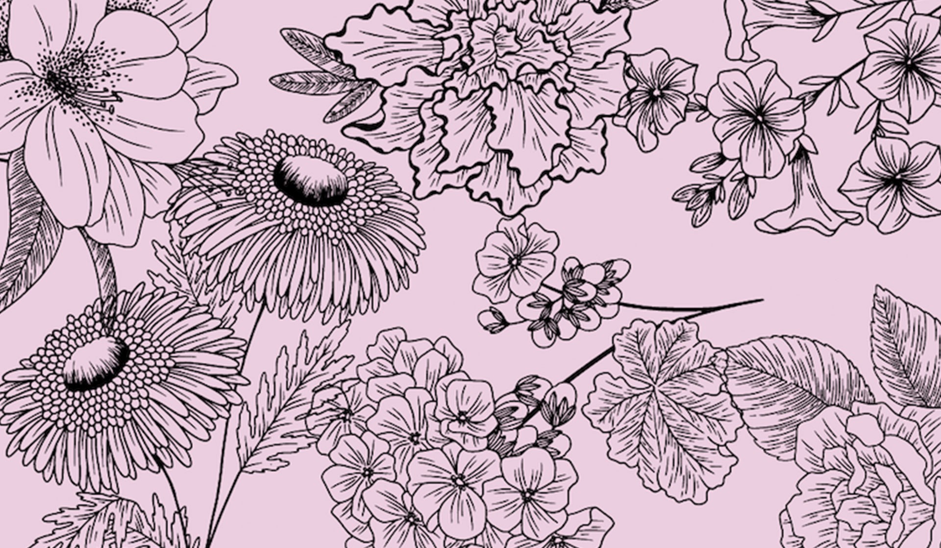 Flora, Food, and Felines