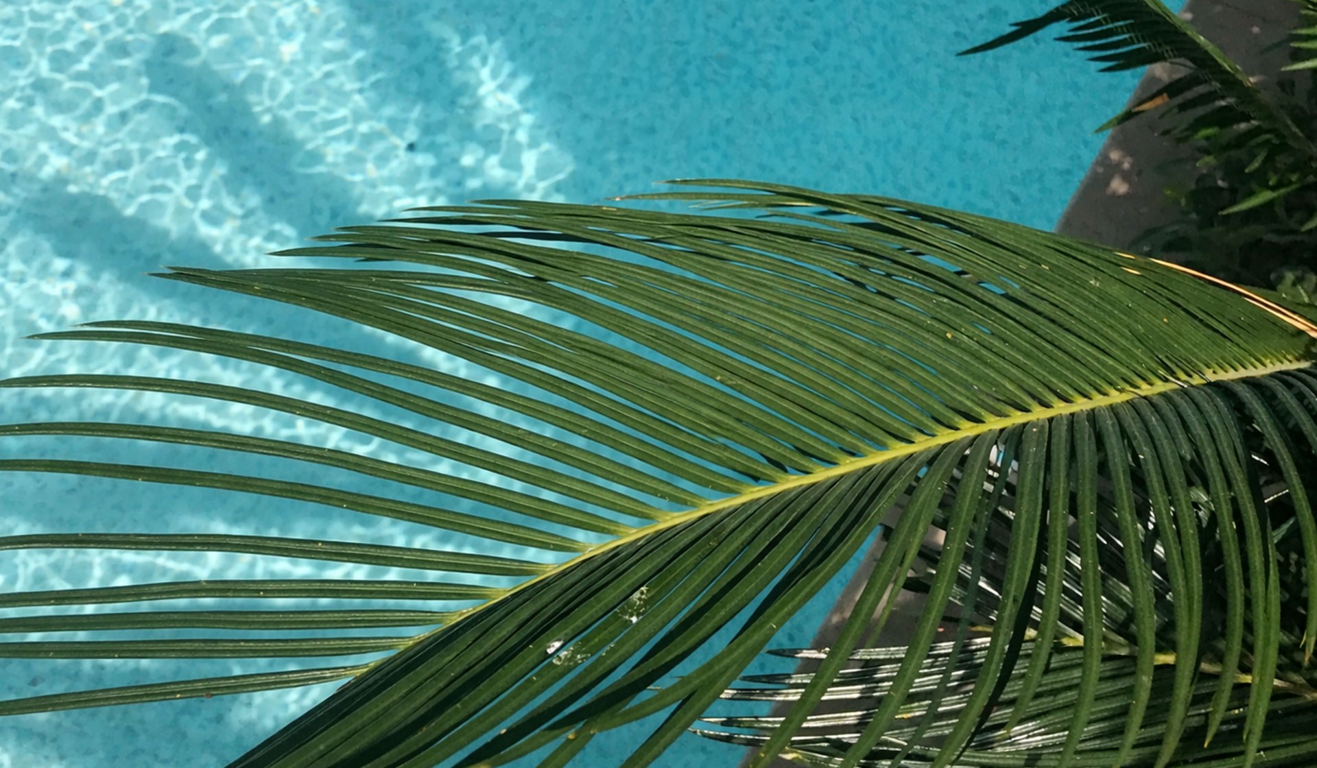 Global Climate Design Awards Annual Event