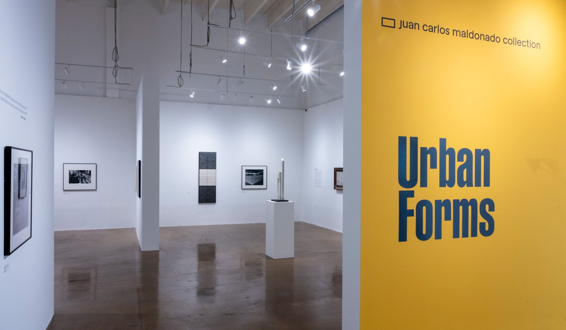 GUIDED VISIT WITH CURATOR