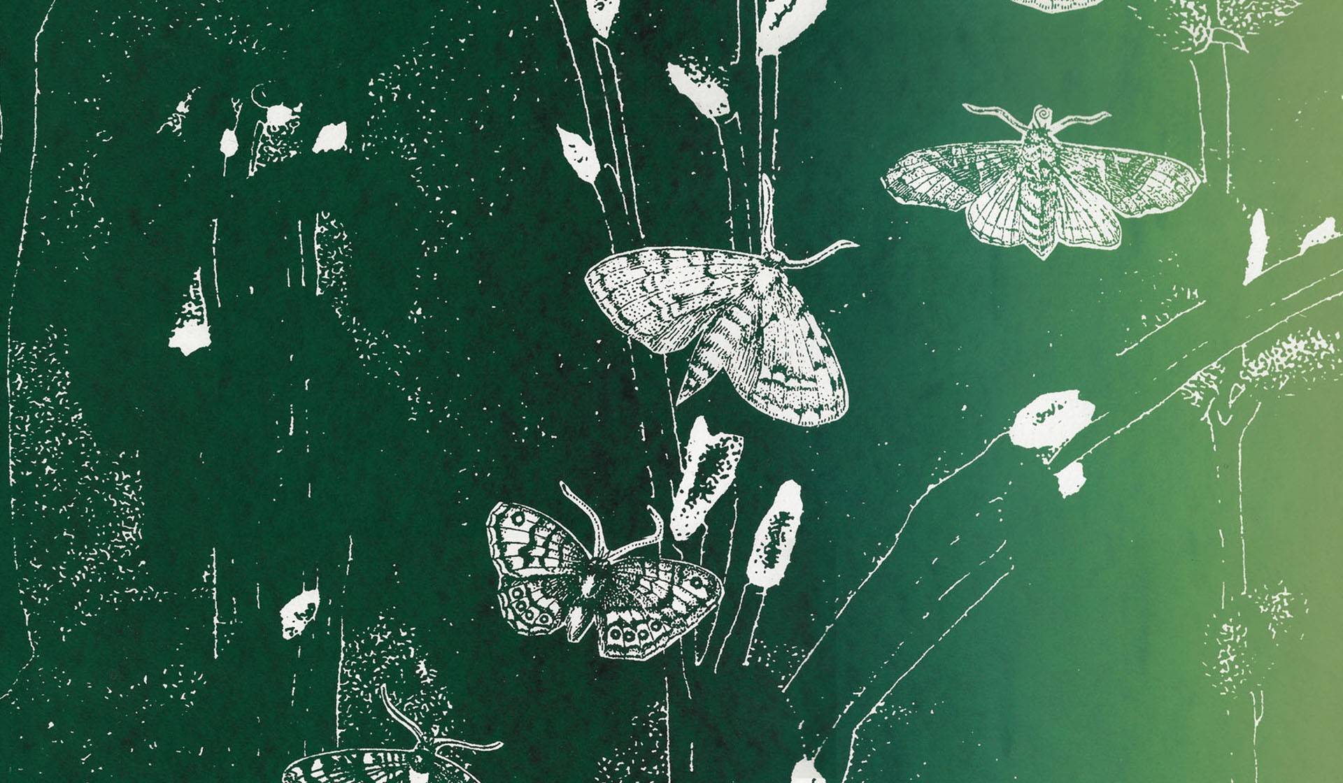 Opening Reception: The world has left the earth behind it Alicia Nauta at Dalé Zine