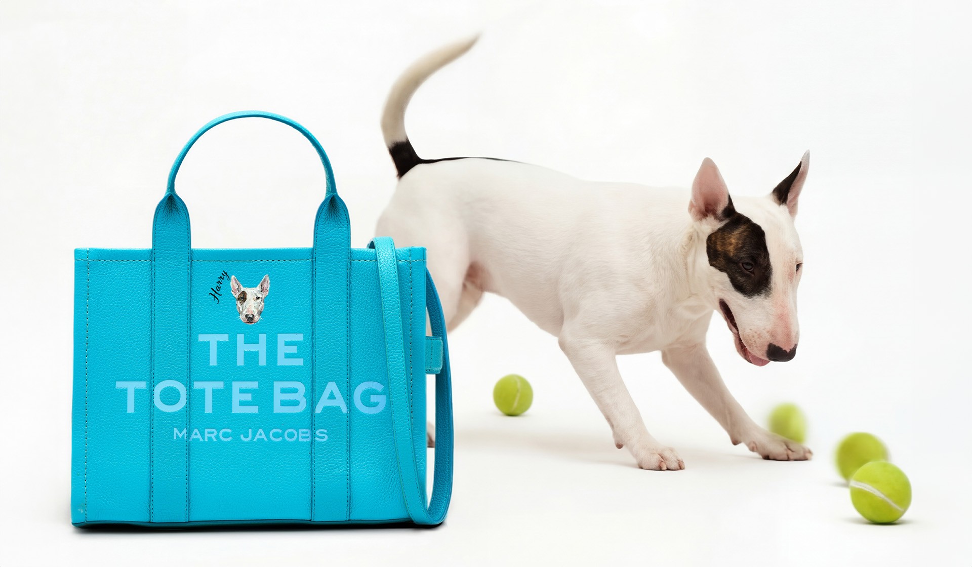 BARK JACOBS Pet Portrait By Marc Jacobs