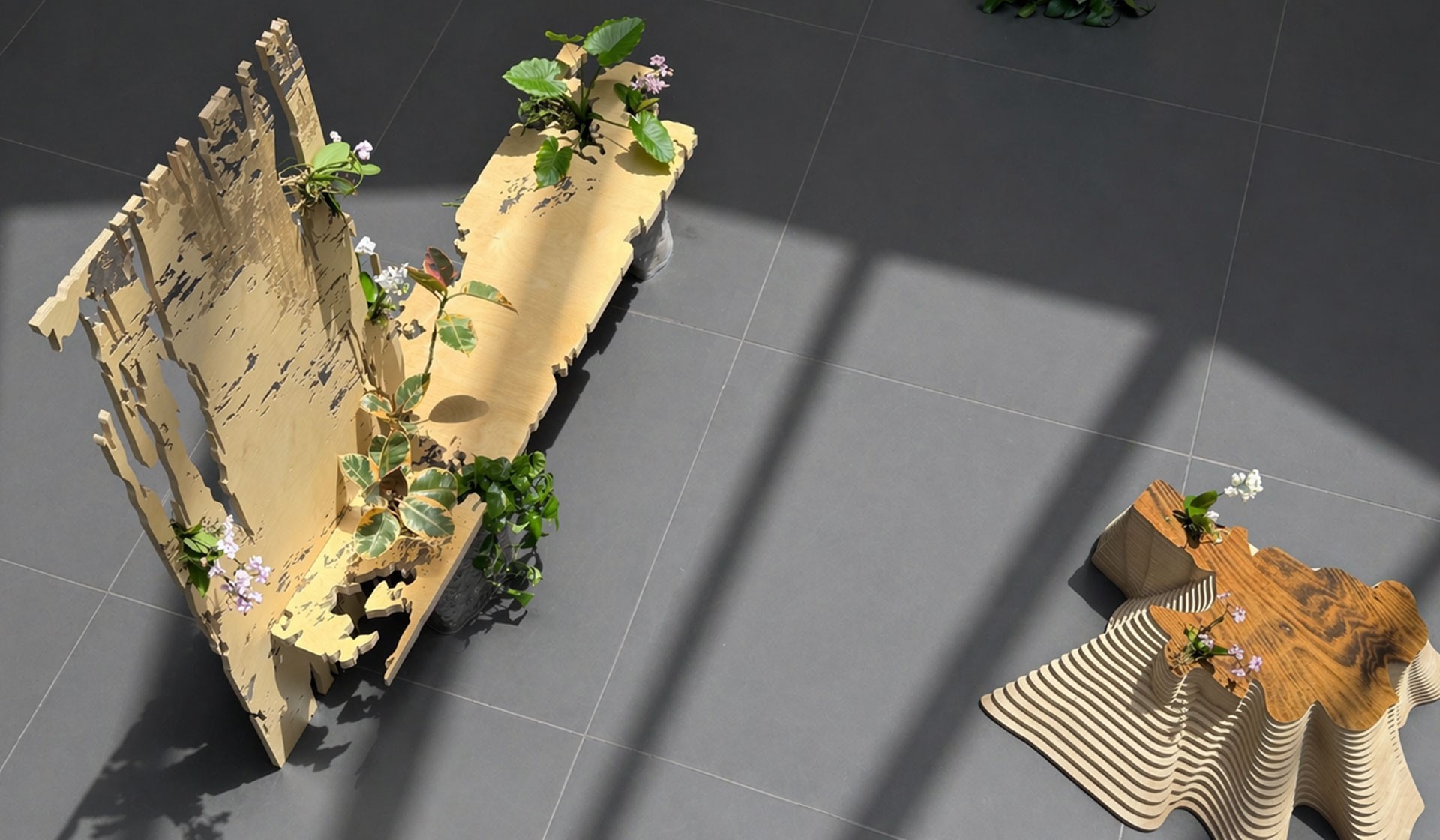 SPOTLIGHT: JOYCE BILLET