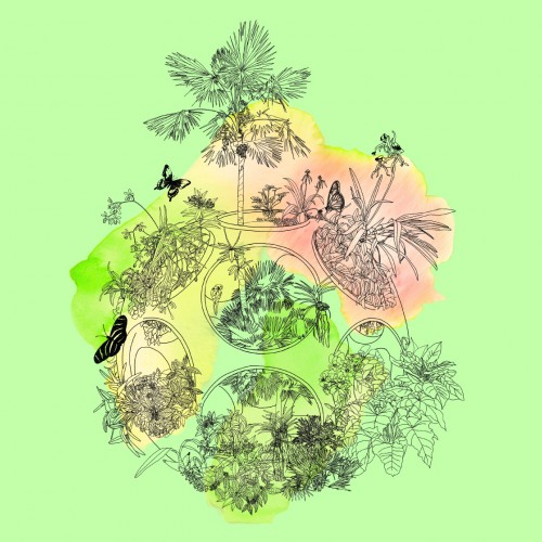 Earth Day Every Day