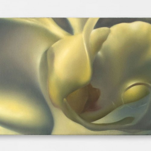 OPENING RECEPTION: Handle with Care