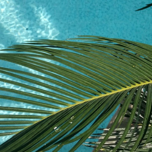 Global Climate Design Awards Annual Event