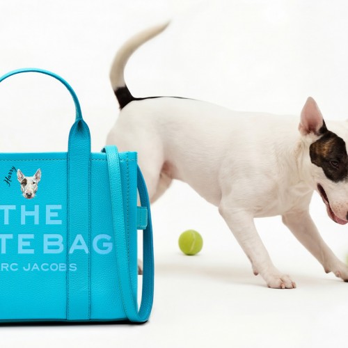 BARK JACOBS Pet Portrait By Marc Jacobs