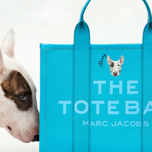 BARK JACOBS PET PORTRAIT BY MARC JACOBS