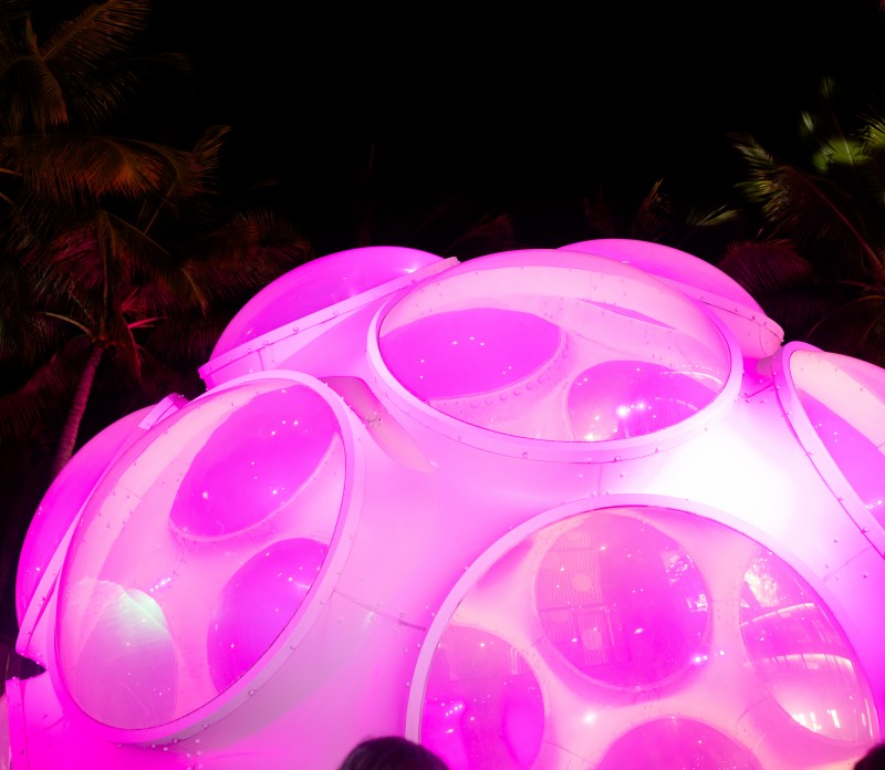 10th Annual Pink Dome Lighting Ceremony