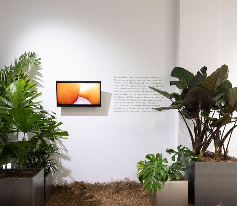 Berkowitz Contemporary Foundation x  RASHID JOHNSON OPENING RECEPTION