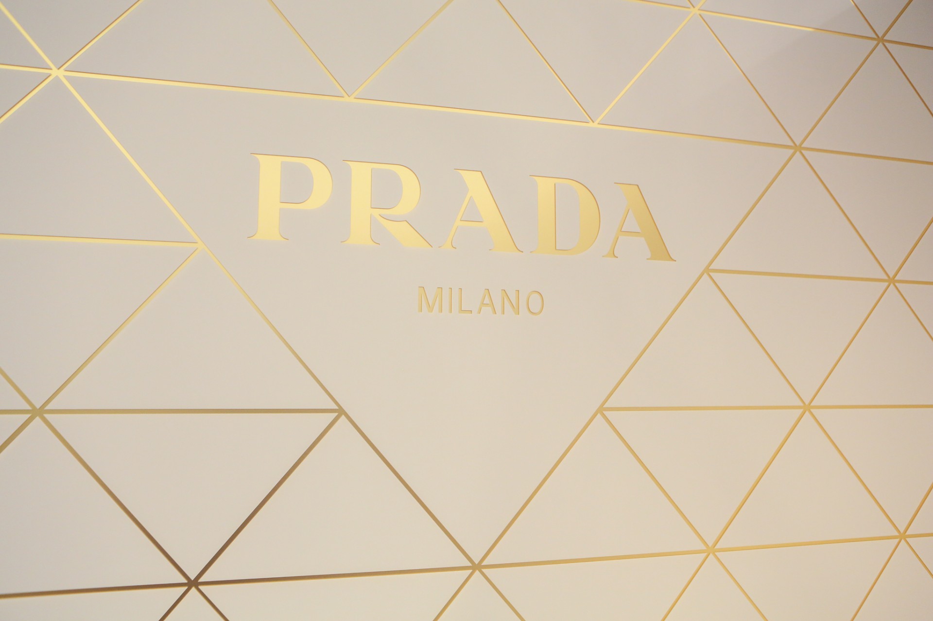 Prada In-Store Reception