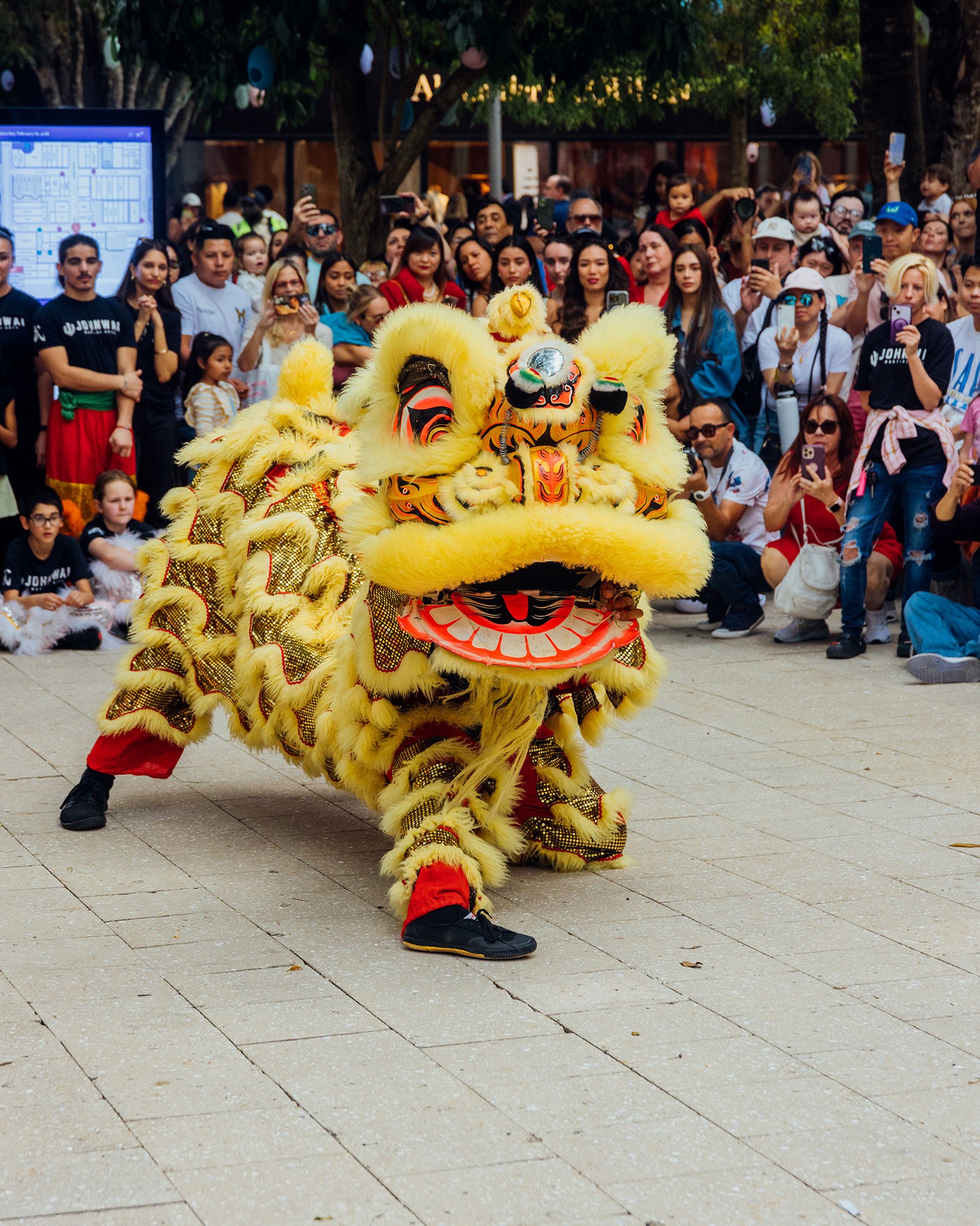 lunar new year south america