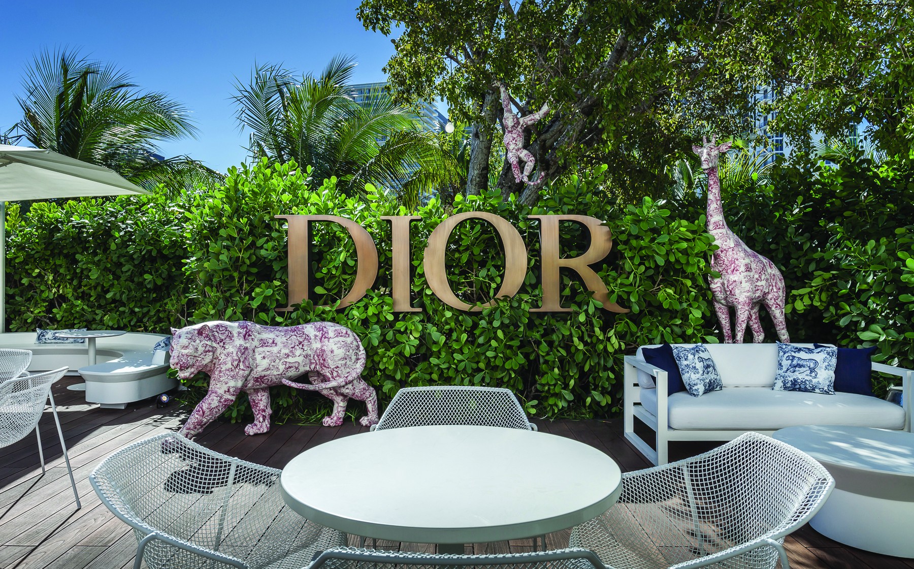 Dior Café Image