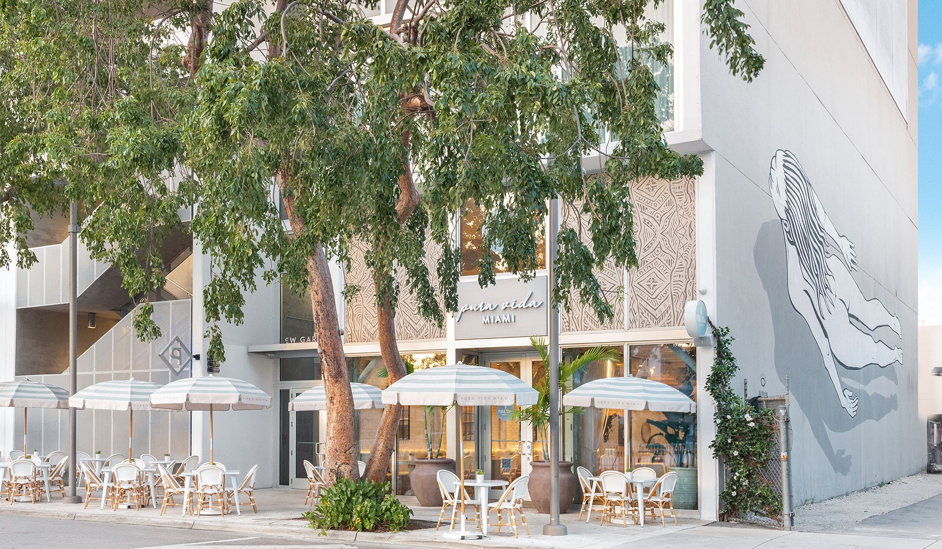 Pura Vida Miami Image