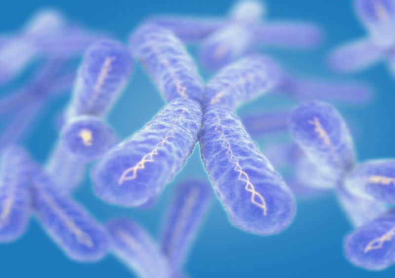 Biohax
