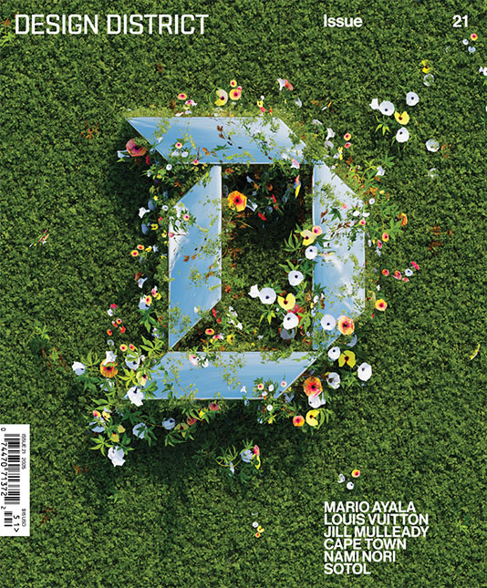 View Issue 21