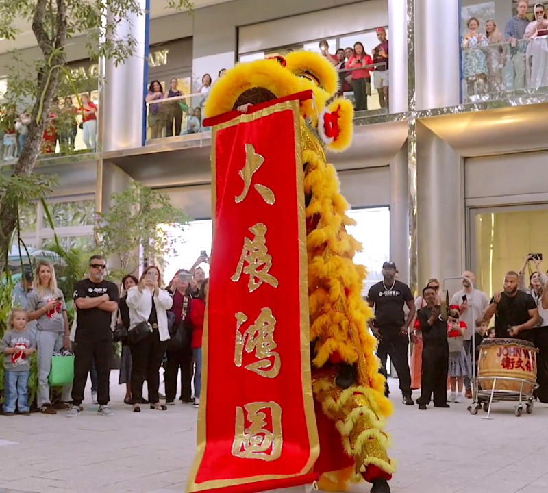 Year of the Snake Dance