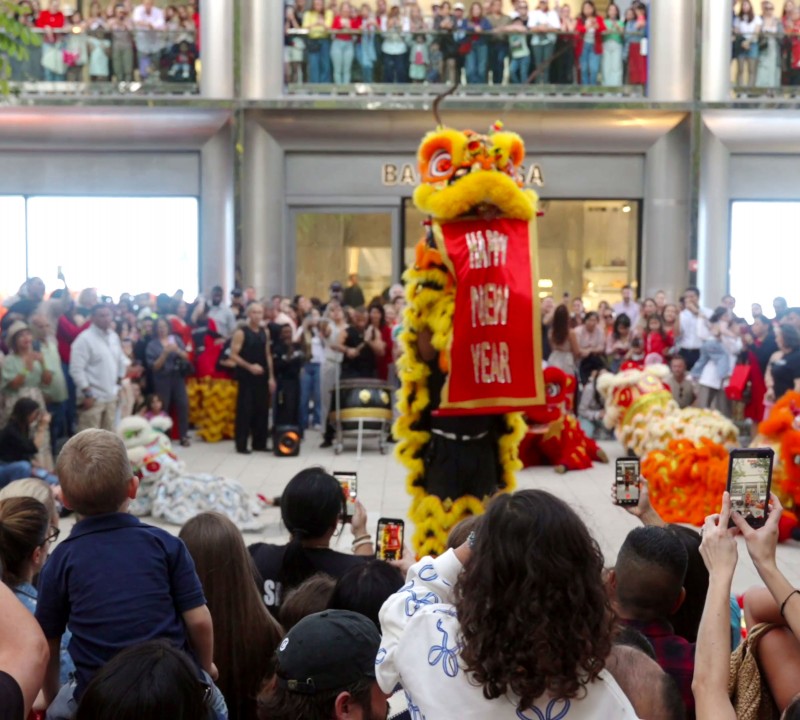 Lunar New Year Celebration