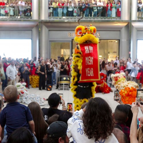 Lunar New Year Celebration